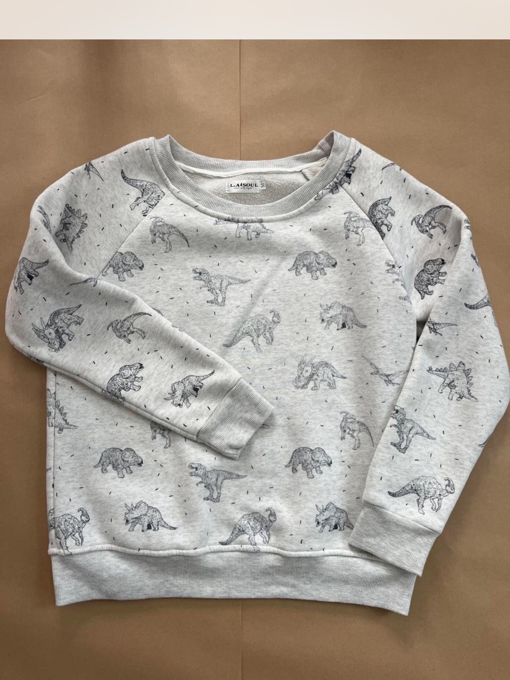 Light Gray Dinosaur Sweatshirt by Lansoul